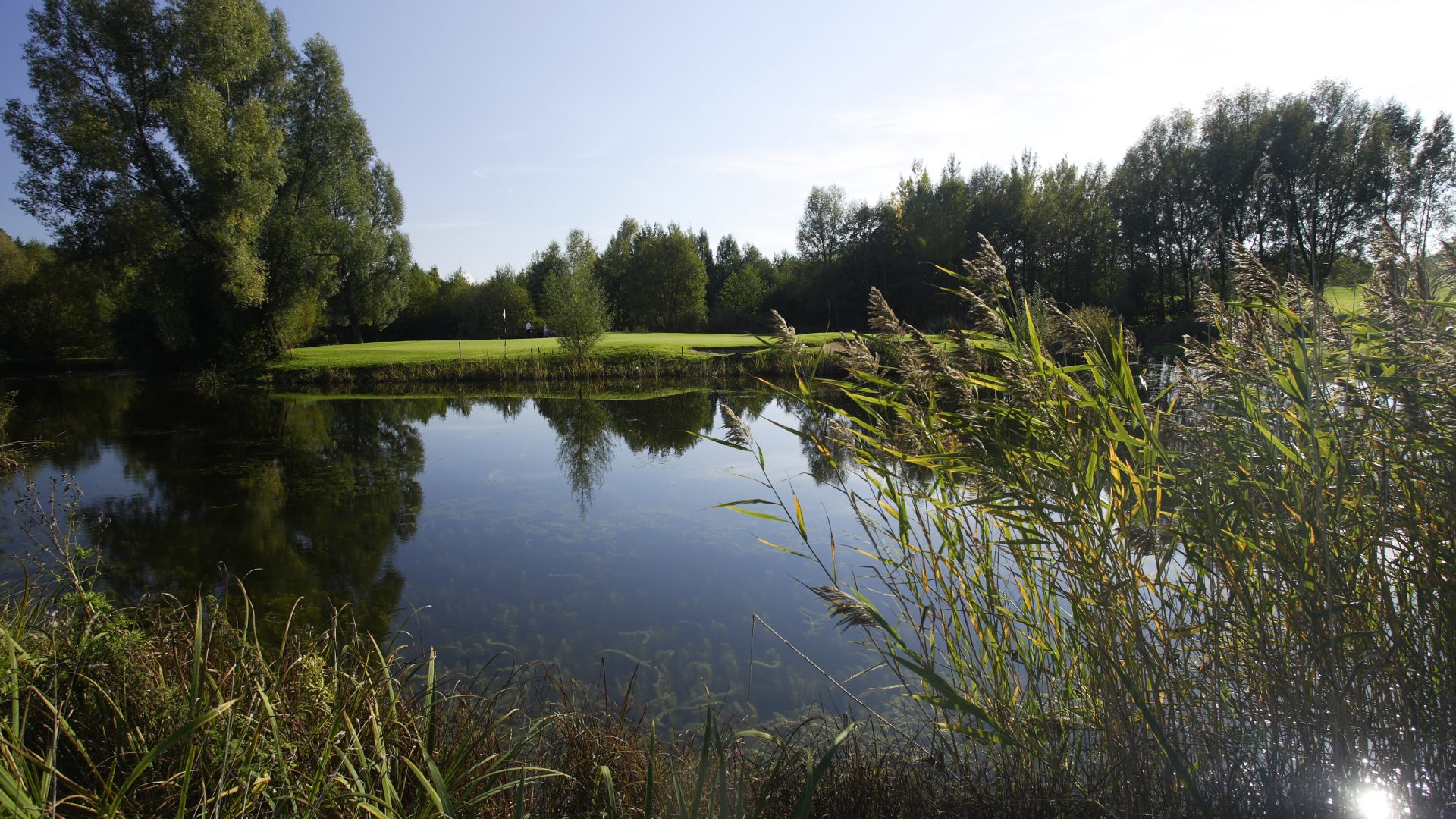 Idylle pur im Münchener Vorstadtsüden. Ein eingewachsenes Biotop macht aus dem Loch 4 (129 m von Gelb