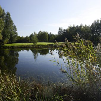 Idylle pur im Münchener Vorstadtsüden. Ein eingewachsenes Biotop macht aus dem Loch 4 (129 m von Gelb