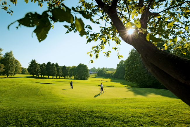 Ein beliebtes Zuschauerplätzchen: die Anhöhe hinter dem 17. Grün (Par 3