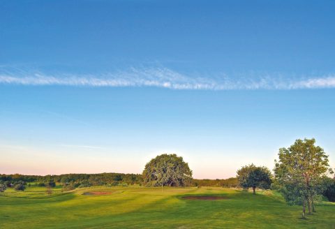 Birdies in Bullerbü Bokskogens_Nya Banan vacker skrud