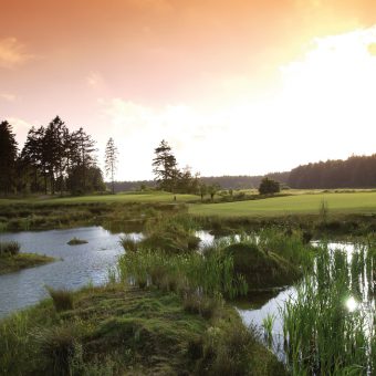 281 m von gelb) liegen malerisch inmitten des Jahrhunderte alten Parks des Altenhofer.