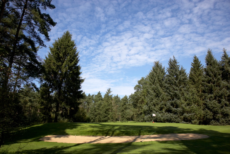 Das 12. Grün (Par 4