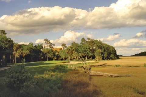    Große Zedern und Eichen stehen am 3. Grün des Osprey Golf Courses auf Kiawah Island. Das Par 3 führt bis zu 160 Meter über das Marschland.