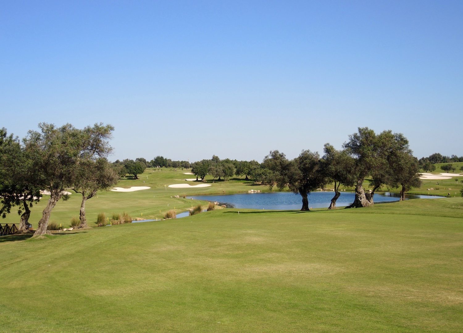 Der Quinta da Cima Course lockt mit sportlichen Herausforderungen.