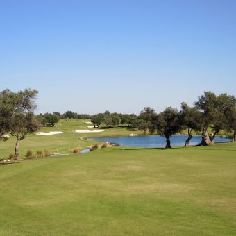 Der Quinta da Cima Course lockt mit sportlichen Herausforderungen.