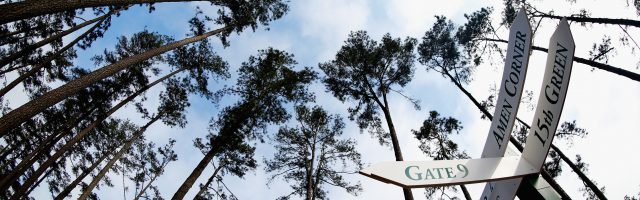 The Masters - Preview Day 3 AUGUSTA, GA - APRIL 08:  Way signs are seen under a set of pine trees during a practice round prior to the start of the 2015 Masters Tournament at Augusta National Golf Club on April 8, 2015 in Augusta, Georgia.  (Photo by Ezra Shaw/Getty Images) 