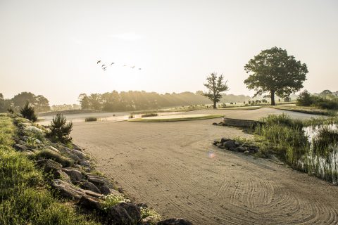 Porsche European Open in Green Eagle