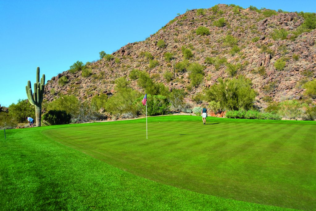 Beim Golfurlaub in Arizona wird deutlich: Der Wüstenstaat hat satte, grüne Grüns. Hier: Las Sendas Golf Club. Foto: I.v.Wilcke