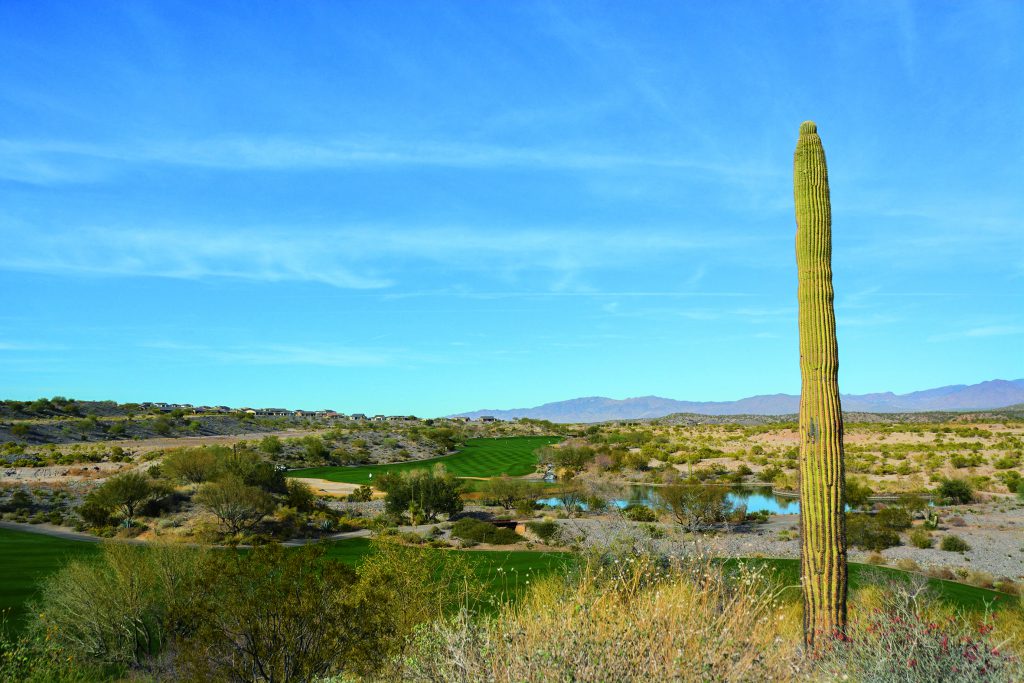 Entspannung gibt es beim Golfurlaub in Arizona auf jeden Fall im Golf- and Social Club Wickenburg Ranch. Hier: Blick auf Loch 15. Foto: I.v.Wilcke