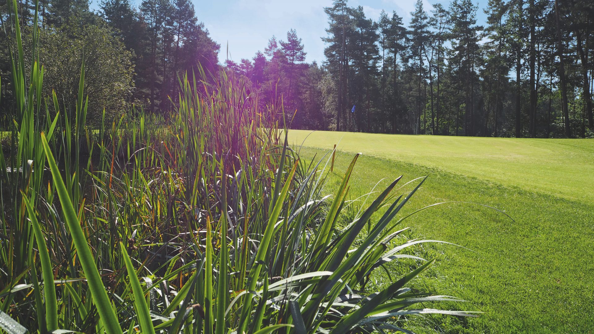 Burgdorfer Golfclub