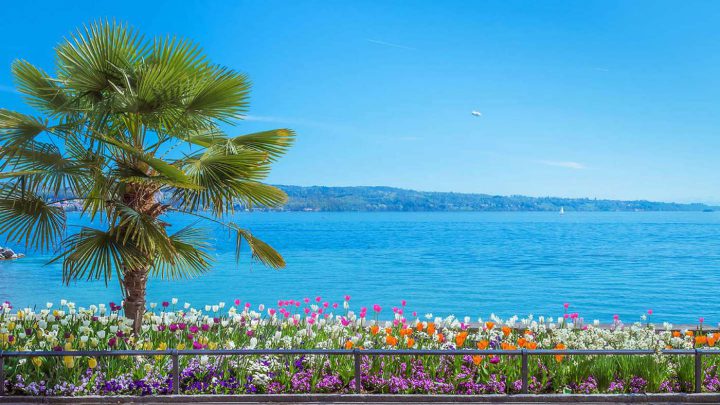 Golfen am Bodensee: Südliches Flair: Blumen, Palmen, Wasser und malerische Gässchen - sieht irgendwie nach Italien aus, ist aber in Baden-Württemberg (©shutterstock).
