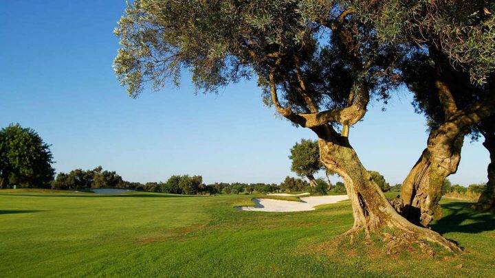 Travel Awards 2020: Robinson Club Quinta da Ria an der Algarve (©PR).