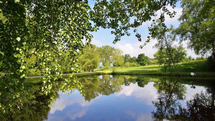 Golfen in Bayern: GC Fahrenbach.