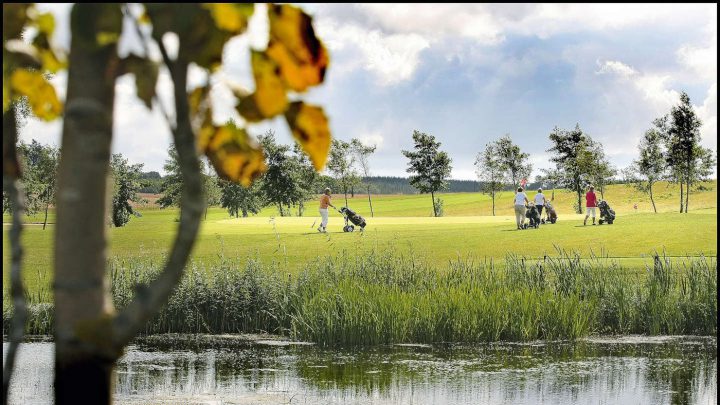 Golfplätze in Dänemark: Hammel Golf Klub