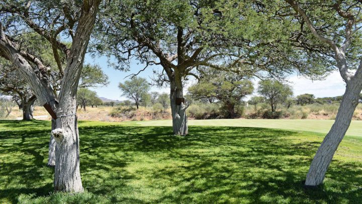 Golf & Sightseeing in Namibia: Omeya Golf Club