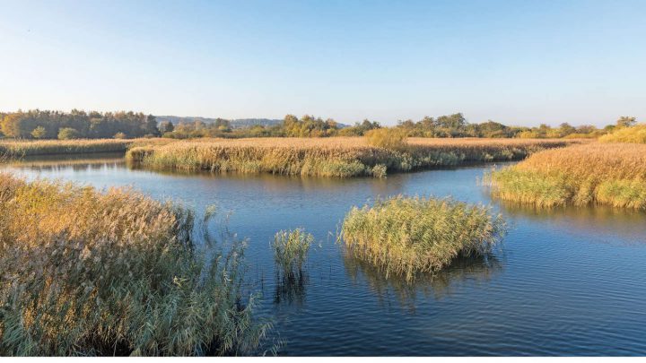 Dänemark: Golf- und Naturrtraum