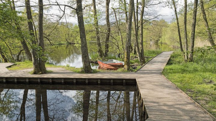 Dänemark: Golf- und Naturrtraum