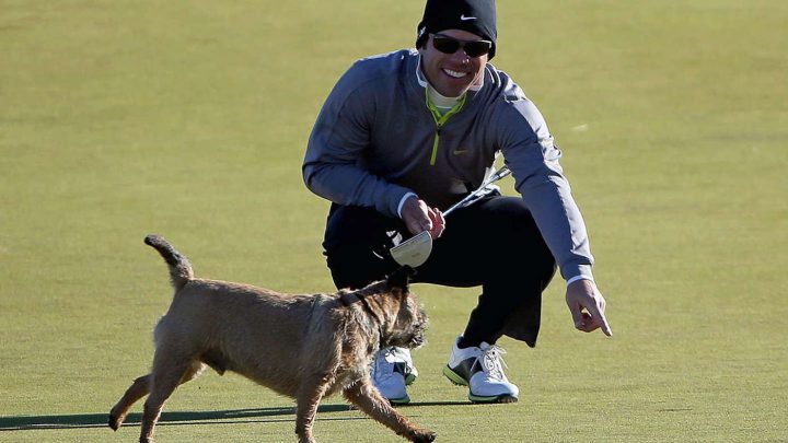 Golfen mit Hund: Dem Tour-Pro Paul Casey wurde mal von einem Zuschauerhund sein Ball geklaut - der Engländer nahm's dennoch mit Humor (©GettyImages).