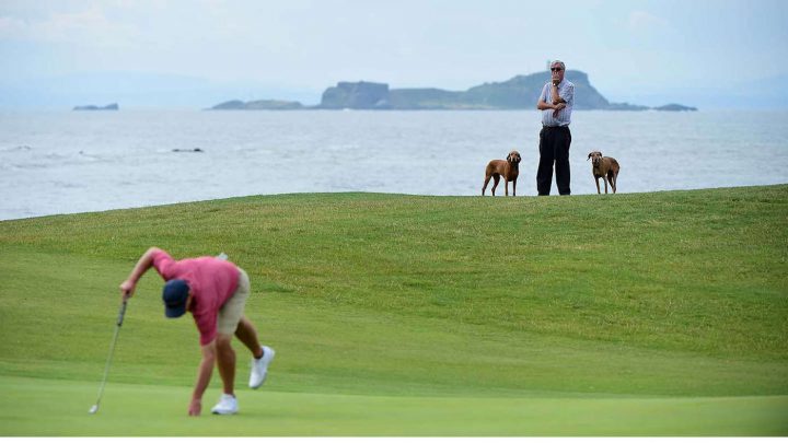 Golfen mit Hund: (©GettyImages)