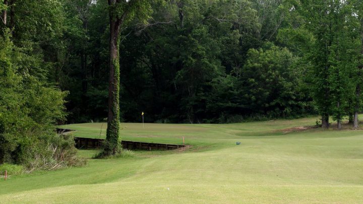 Black Bear Golf Club, Delhi