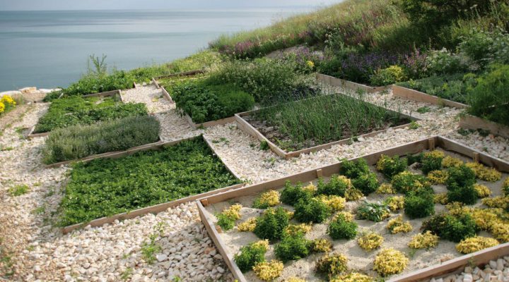Für Feinschmecker: Im Restaurant "Geti" in Thracian Cliffs wird mit Produkten aus dem hauseigenen Garten gezaubert.