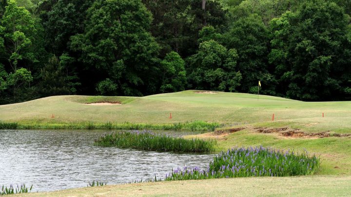 Carter Plantation Golf Course, Springfield