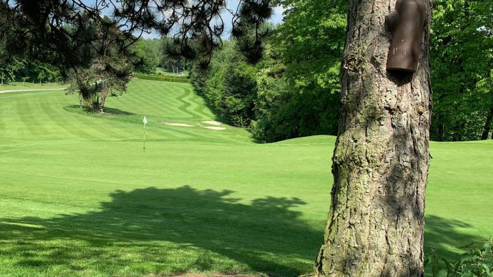 Die Golfsaison 2020 ist in NRW eröffnet: U.a. im Düsseldorfer GC