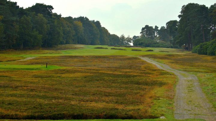 Kurz sollte man hier nicht sein Das Kraut sieht nett aus, ist aber spielerisch eine Herausforderung. Swinley Forest hat es in sich