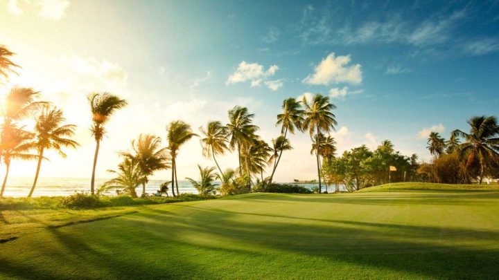 Außerdem natürlich die Form, Größe und Ondulierung der Grüns ... (Foto: Tobago Plantations GC © Magdalena Grand Beach Resort)