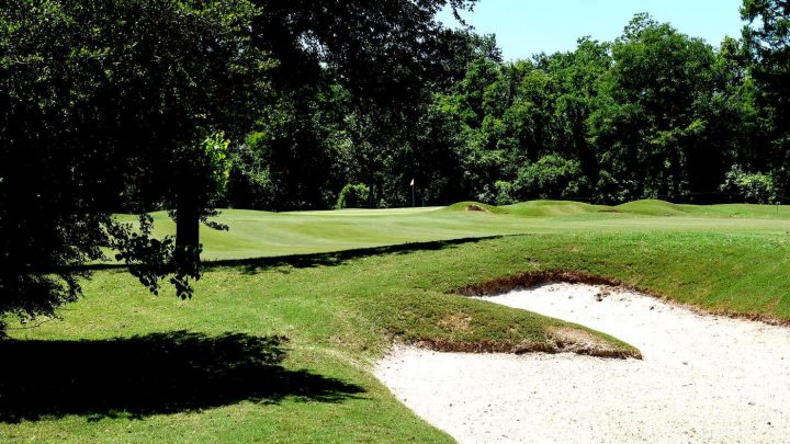 TPC Louisiana, Avondale