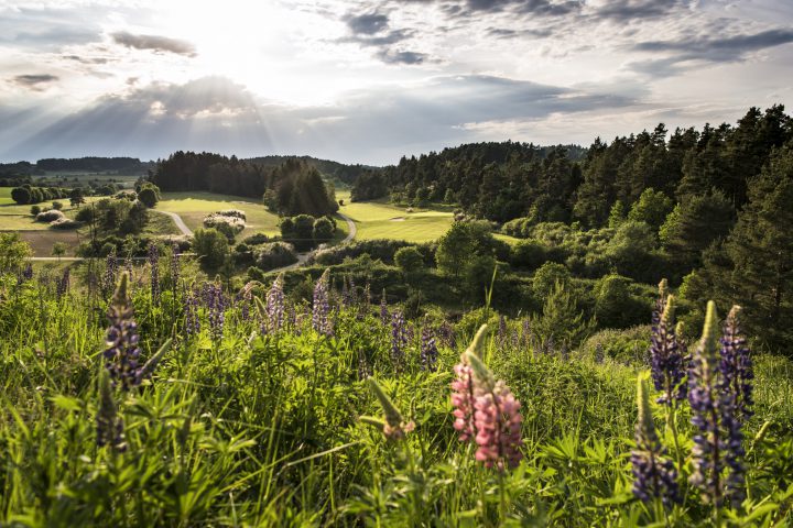 golf oberpfalz