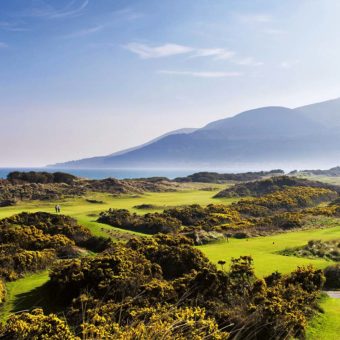 Royal County Down.