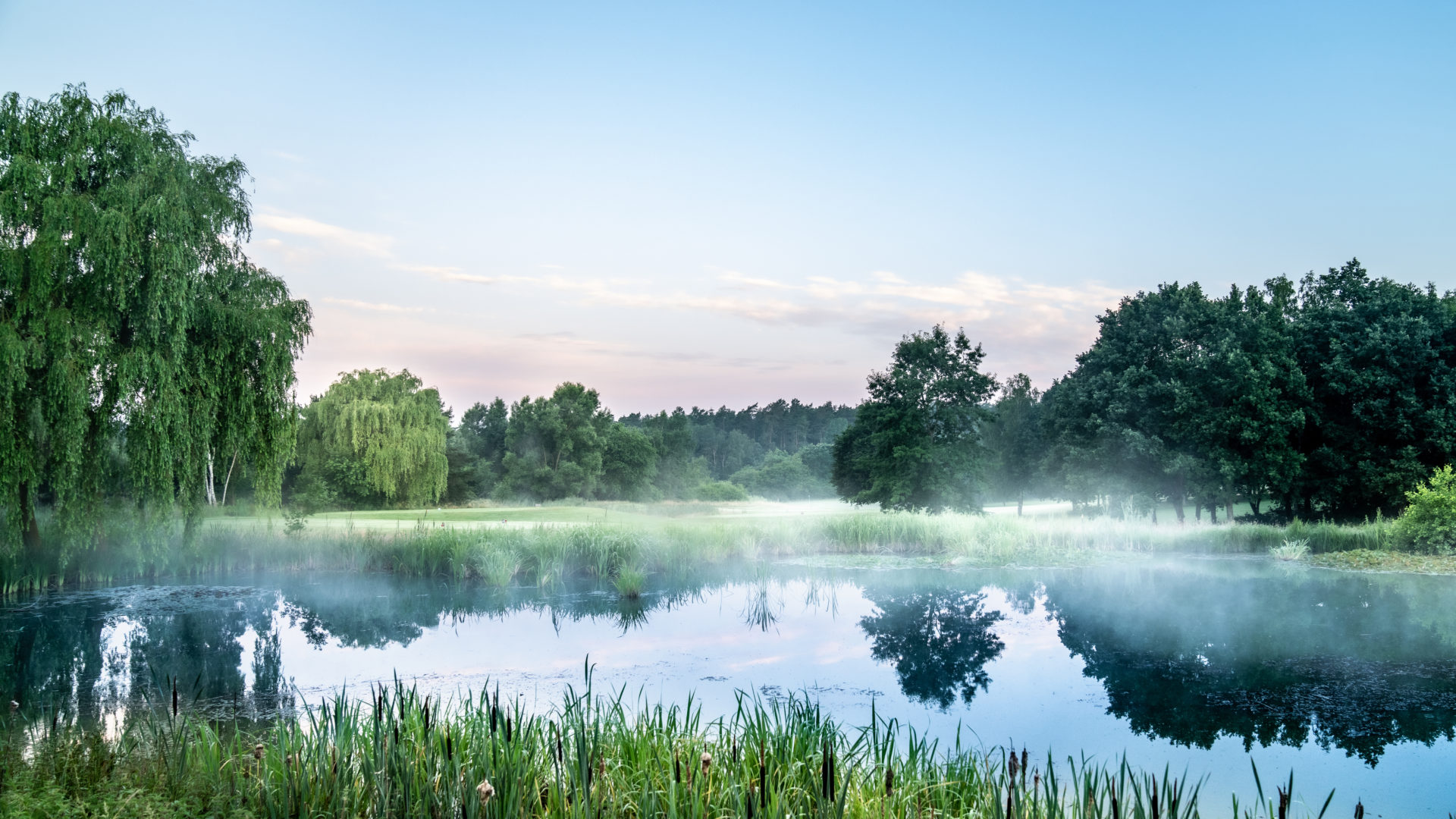 Die Golfanlage Bad Bevensen. (Foto: Gerrit Kleindfeld/JustGreat.Golf)