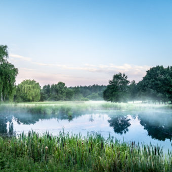 Die Golfanlage Bad Bevensen. (Foto: Gerrit Kleindfeld/JustGreat.Golf)