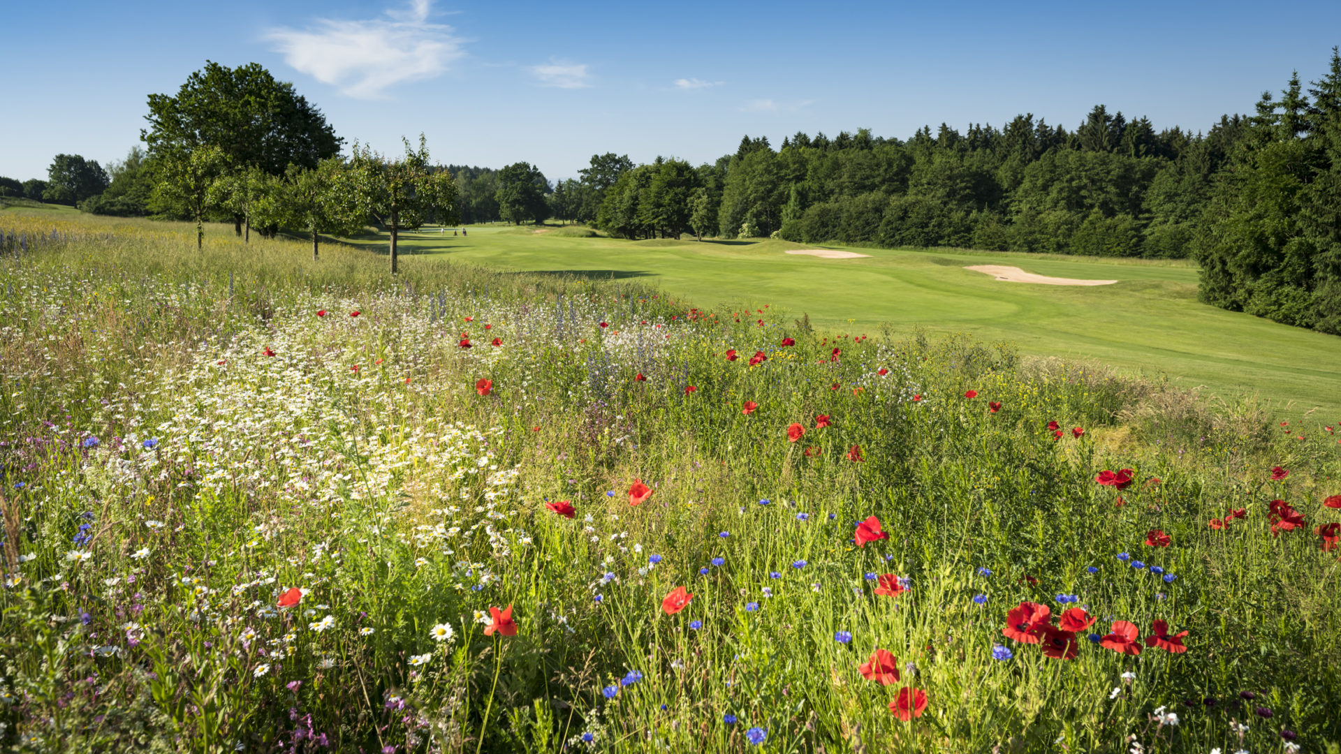 Golfclub Riedhof