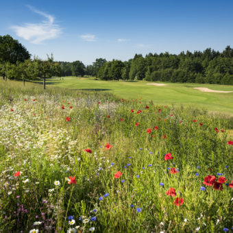 Golfclub Riedhof