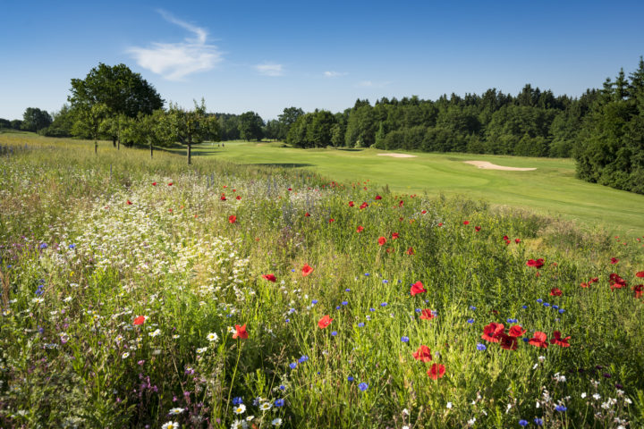 Golfclub Riedhof