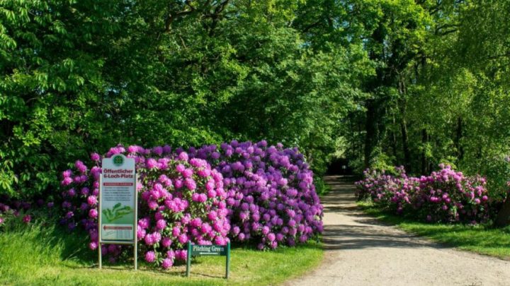 Mittelholsteinischer Golf-Club Aukrug