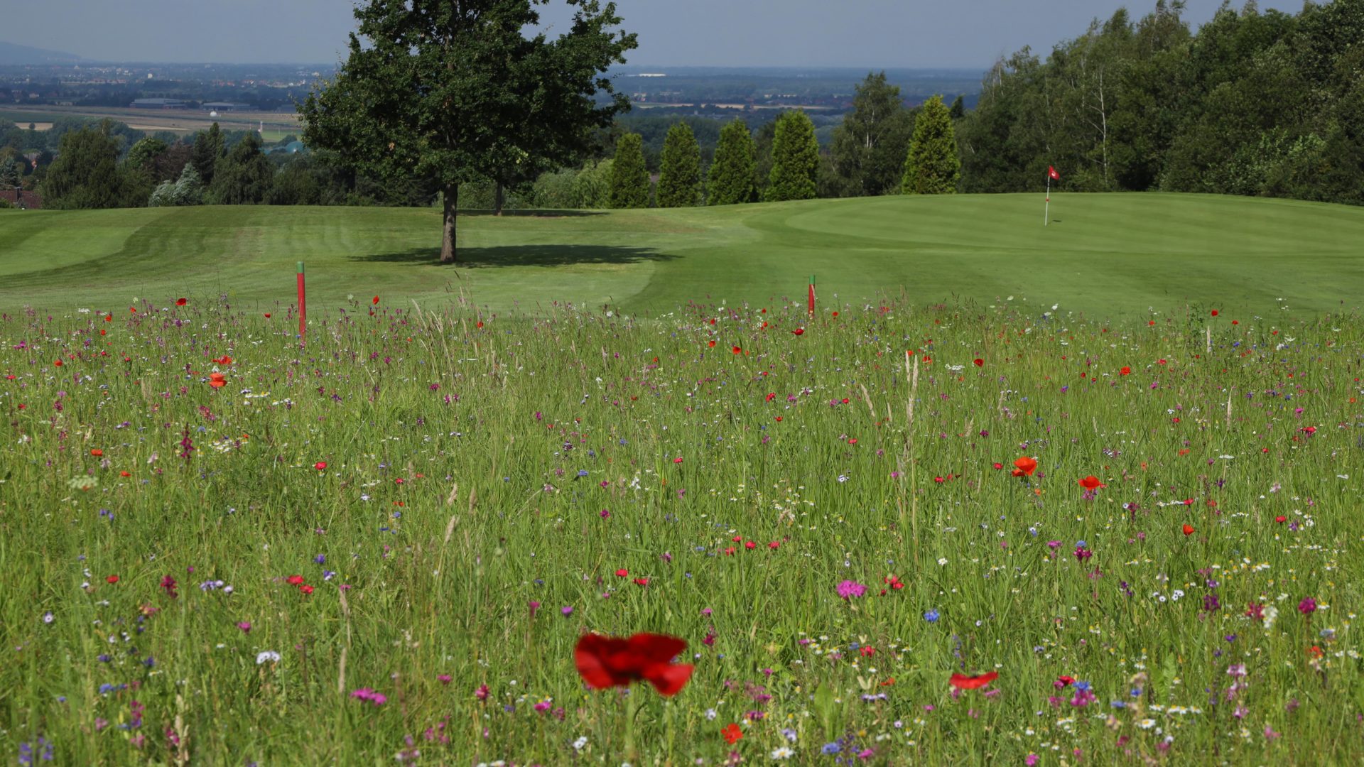 Golfclub Schaumburg