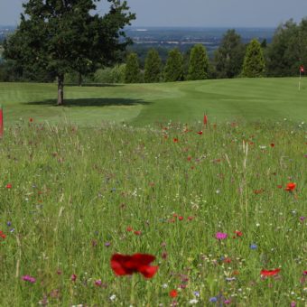 Golfclub Schaumburg