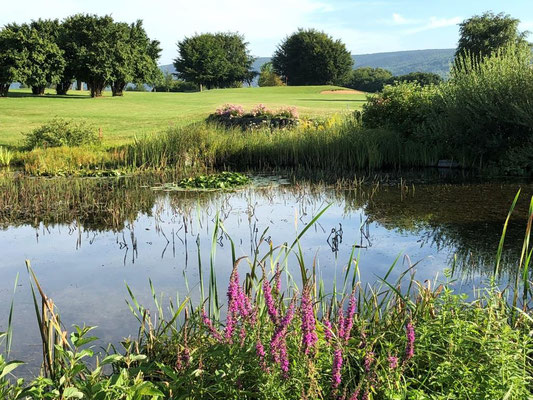 Golf und Country Club Leinetal Einbeck