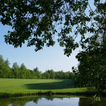 Golfclub Gut Waldshagen