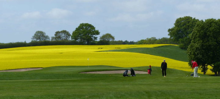 Golfclub Gut Waldshagen