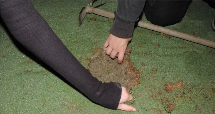 Protestieren für den guten Zweck? Vandalen zerstören mehrere Grüns. (Foto: Twitter Kitikou Collective)