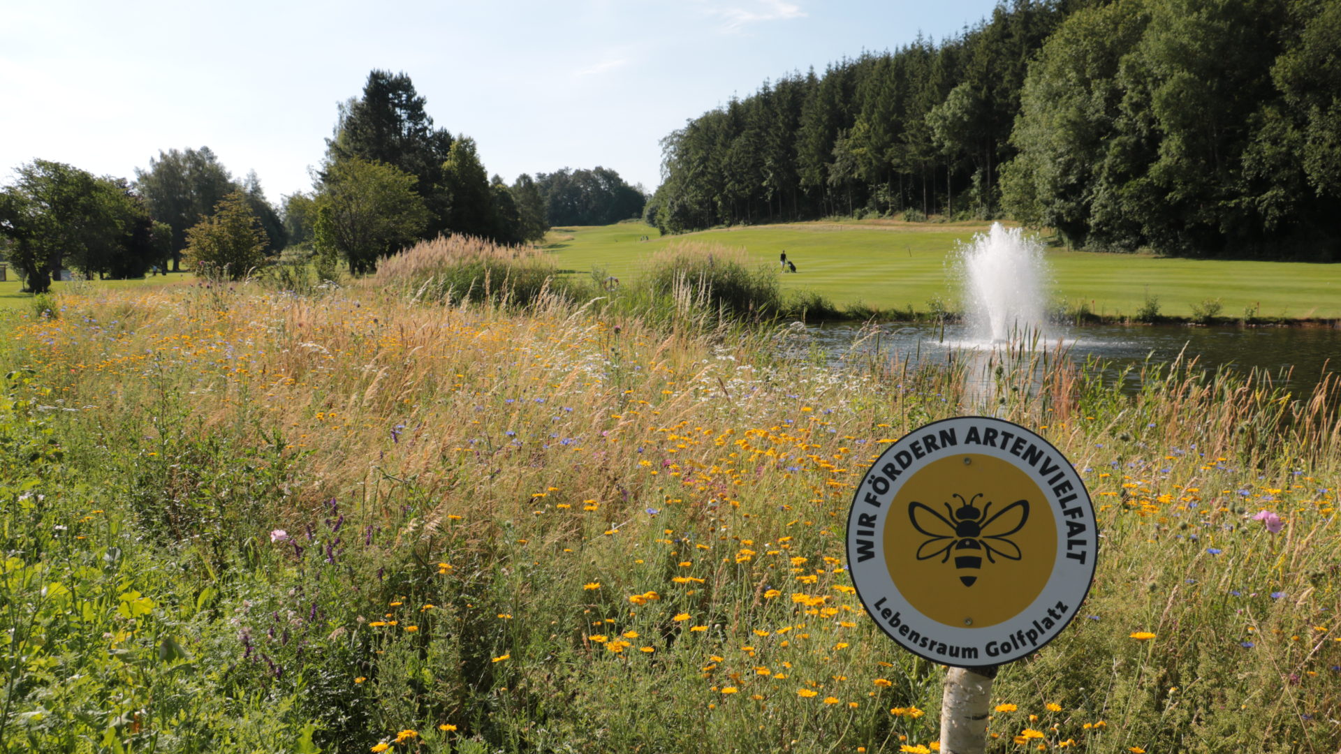 Lebensraum Golfplatz – Wir fördern Artenvielfalt. (Foto: BWGV)