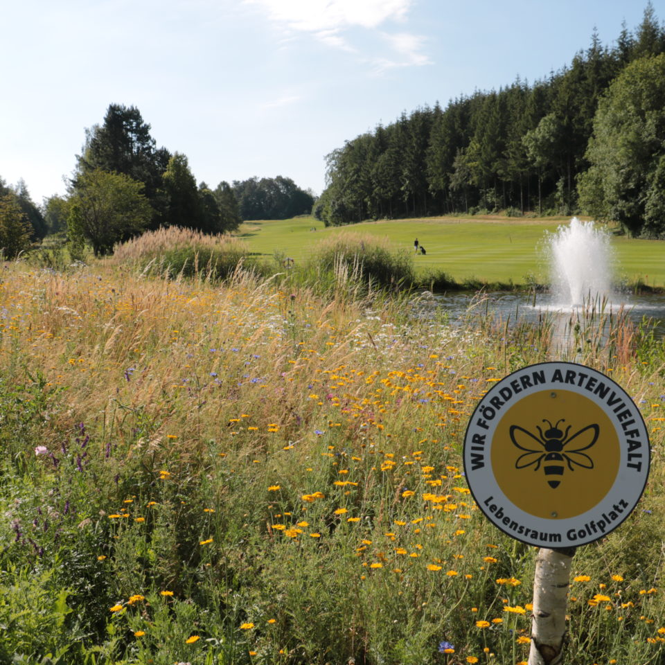 Lebensraum Golfplatz – Wir fördern Artenvielfalt. (Foto: BWGV)