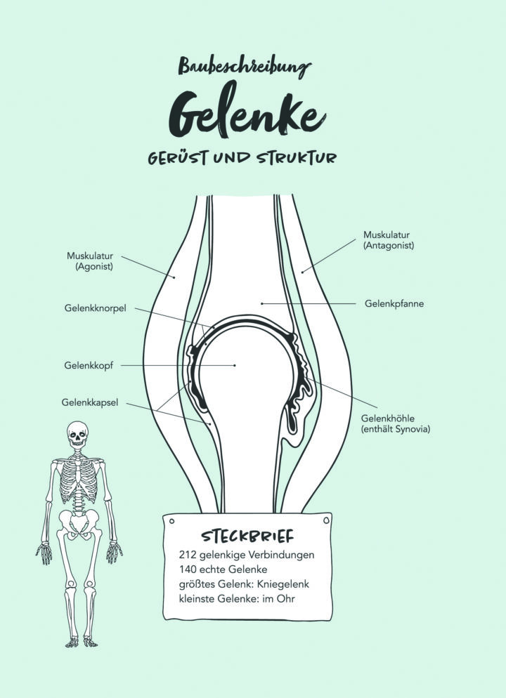 Gelenke im Glück