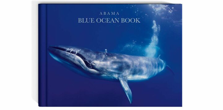 Blue Ocean© Francis Perez