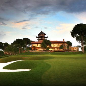 Montgomery Papillon GC.