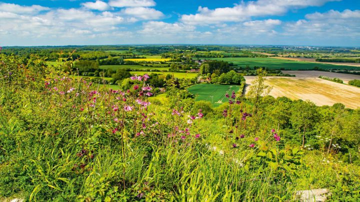 Die Grafschaft Kent: Herrliche Landschaften. (Foto: ©shutterstock)